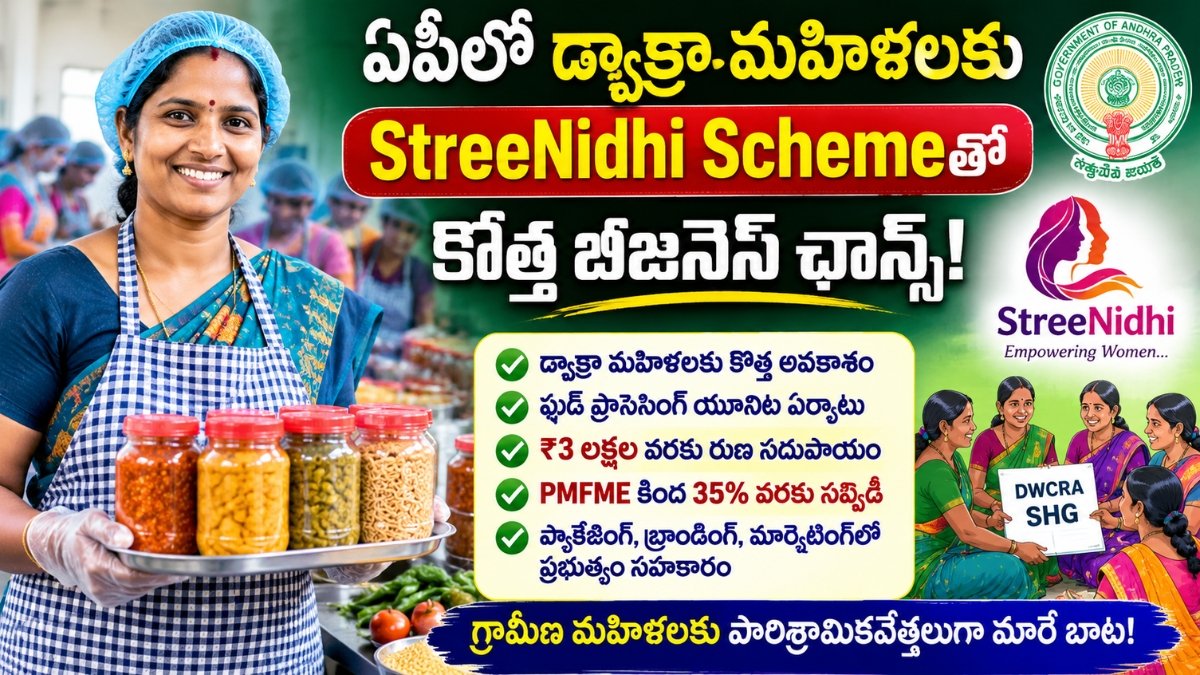 StreeNidhi Scheme AP DWCRA Women Food Processing Business